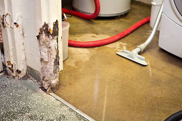 emergency basement leak repair company Butteville