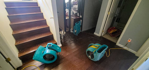 water damage cleanup Butteville